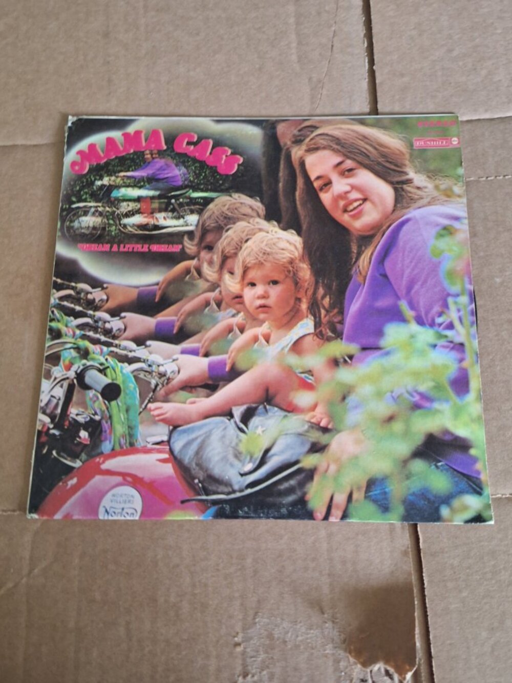 mama cass dream a little dream lp record